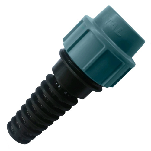 ������ �������� 32 �� c ������ ITAL