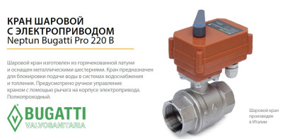 ���� ������� � ��������������� Neptun Bugatti Pro 220� 2" ������ ������