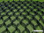 ���������� �������� GeoFlax, 100 ��, ������ 210 x 210 ��, ����� 1,25 ��